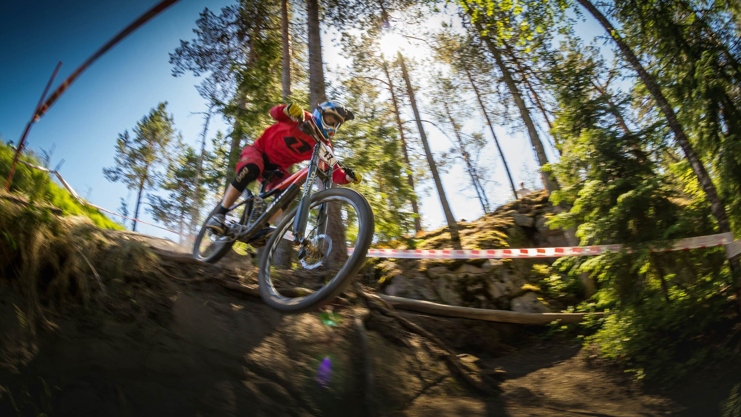 Mountain biker riding a technical downhill line through a sunlit forest