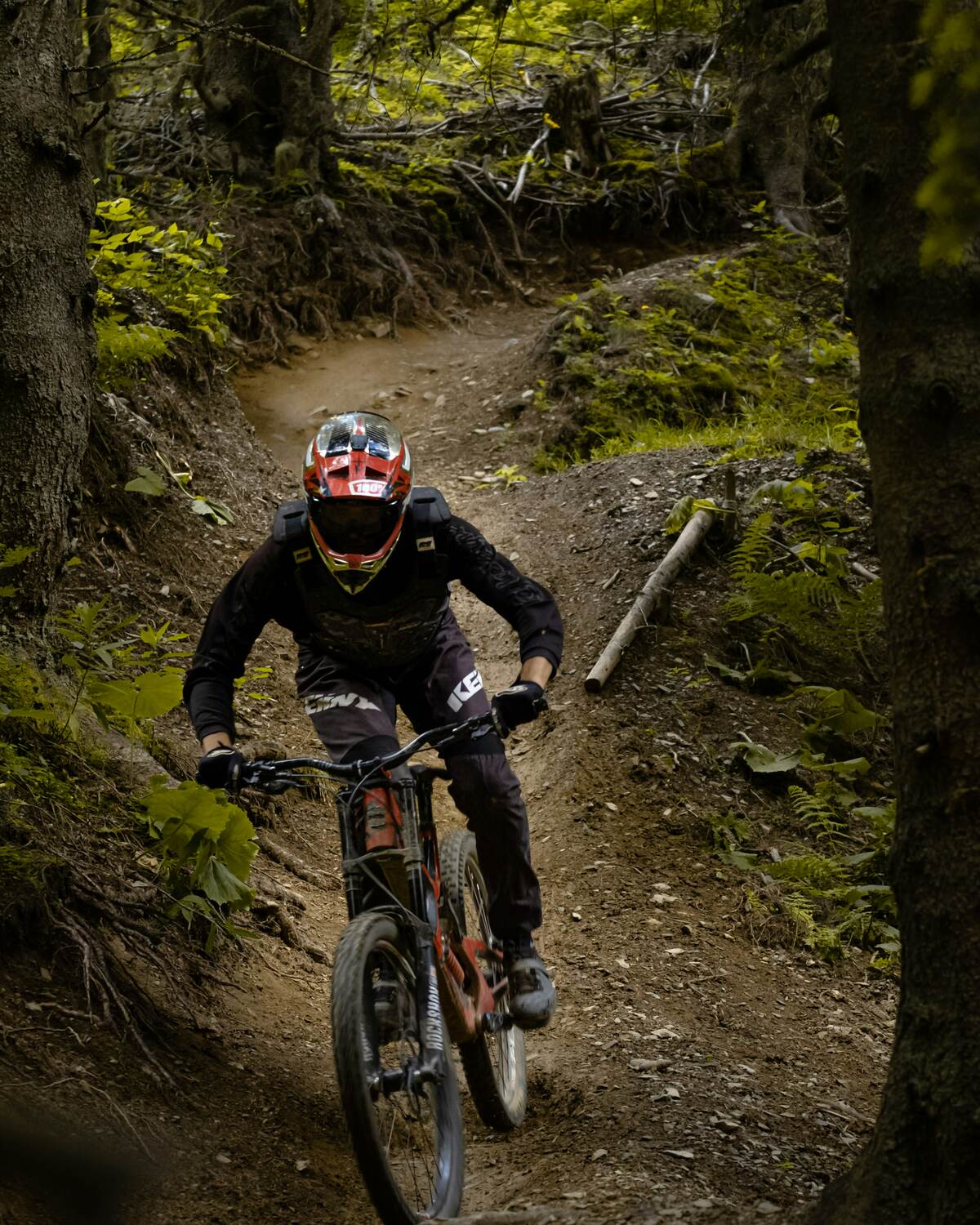 Rider descending a dark, technical forest trail with no visible infrastructure