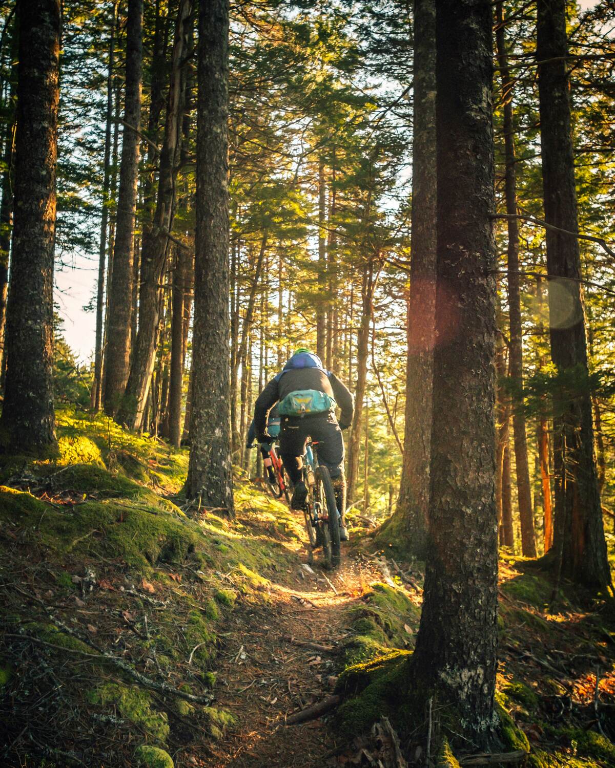 Backlit rider jumping through a golden-hour forest trail